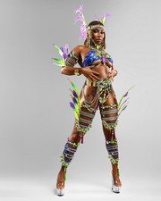 Carnival Costume Feathered