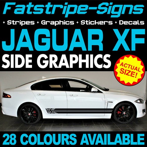 Fit jaguar graphics - fit,