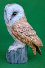 LEONARDO BARN OWL ON TREE STUMP.
