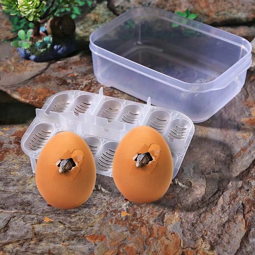 Reptile egg incubator tray - egg, 12
