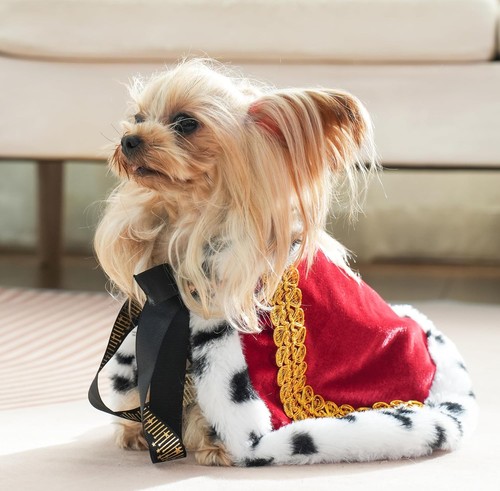 Lovelyshop pet serial - , fur