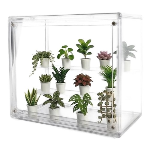 For succulent starter - succulent,