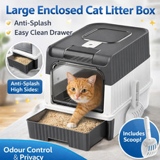 Large Cat Litter Box