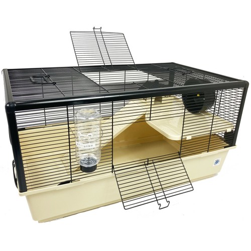 Grosvenor large syrian - syrian, hamster