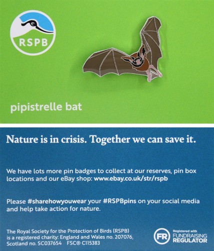Rspb pin badge niic - pin,