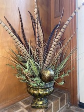 Ornamental Feather Display In