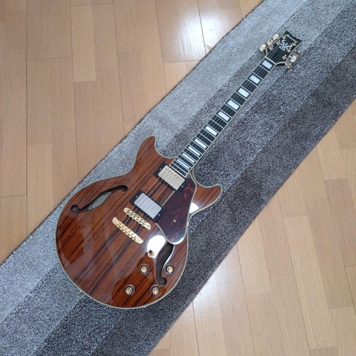 Ibanez semi acoustic - ibanez, semi-acoustic