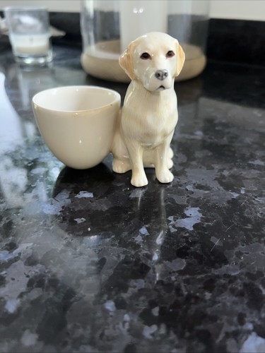Quail golden labrador - labrador, cup