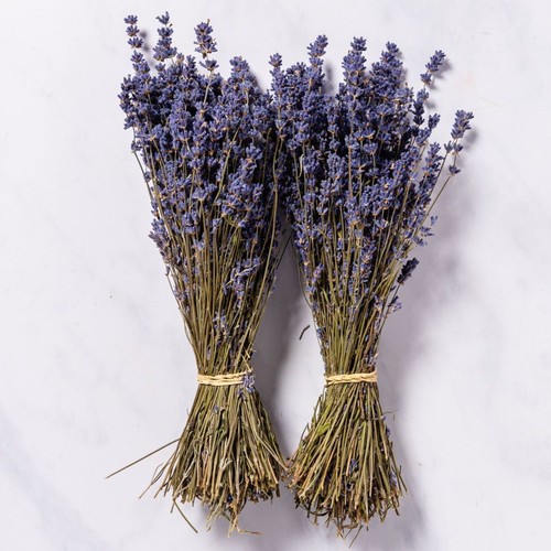 Dried lavender bunches - dried,