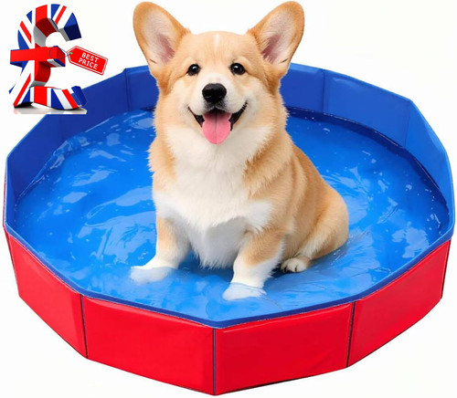 Dog paddling pool foldable - dog,