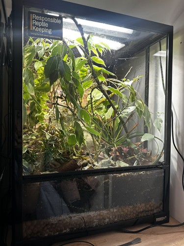 Pro rep terrarium - , 45x45x60