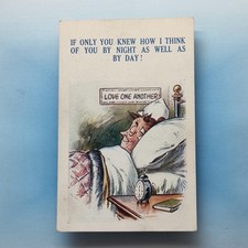 Comic Postcard C1910 Spinster