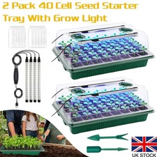 Holes seed trays with - 40,