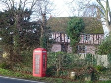 Photo A1 Red, pink and green