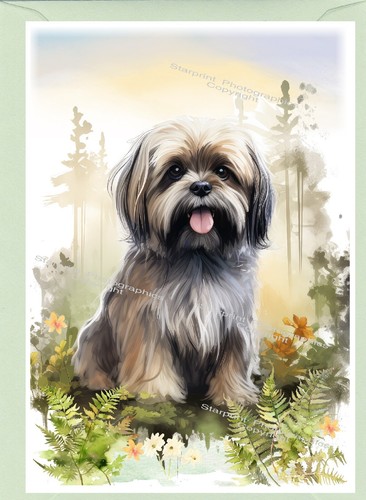 Lhasa apso dog greetings - apso,