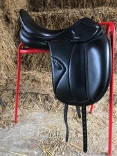 Amerigo Pinerolo Dressage