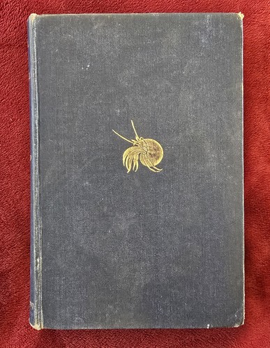 Antique book natural - ,