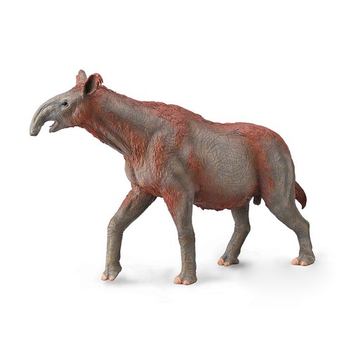 Collecta paraceratherium - collecta,