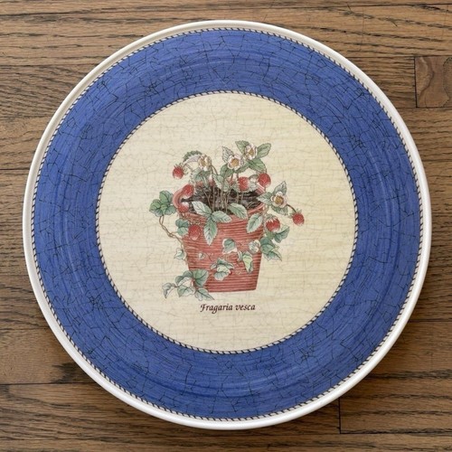 Vintage wedgwood sarah - vintage, sarah's