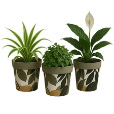 Coloured Plant Pots Retro