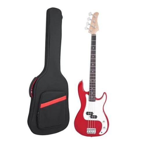 Electric bass guitar case - electric,