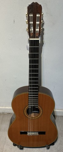 Takamine classical acoustic - takamine,