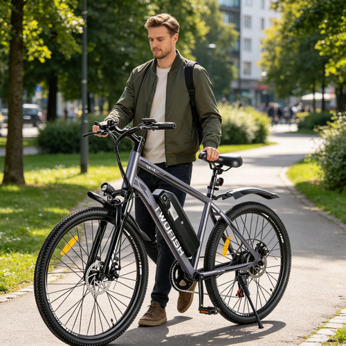 250w 15ah 36v - 250w, e-bike