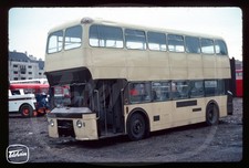 Original Bus Slide - ex