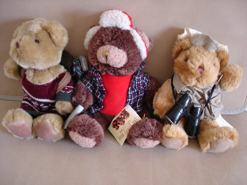 The teddy bear collection - the,