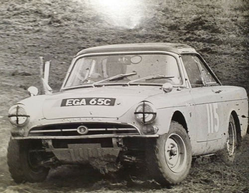 Sunbeam tiger photograph - tiger,