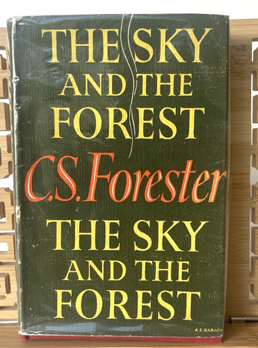 The sky and forest - and,