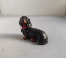 Cute  Black and tan miniature