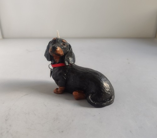 Cute black and tan miniature - ,