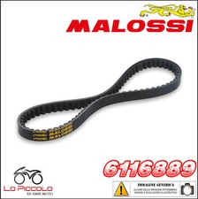 6116889 Special Belt Malossi for Piaggio Typhoon 50 2T 2007-2010