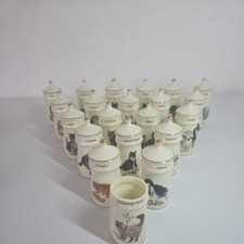 Lesley Anne Ivory Danbury Mint 1995 Cat Spice Jars x21