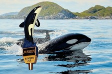 Alaskan Brewing Summer Ale