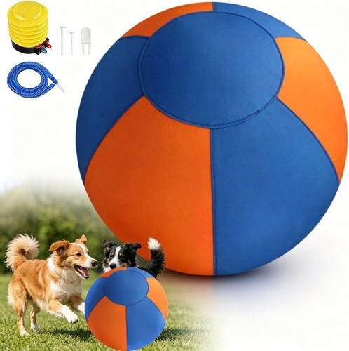55cm sheepdog herding - sheepdog,