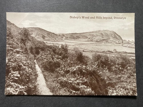 Bishops woods hills - &,