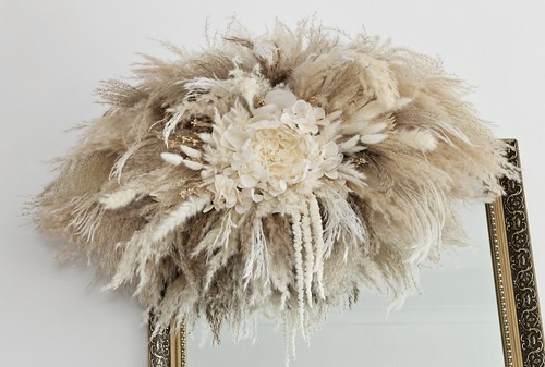 Dried pampas grass - pampas,