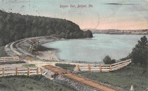 Beaver tail belfast - beaver, maine