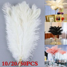 50Pc/pack Large Ostrich