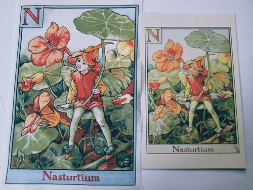 Nasturtium alphabet - -,