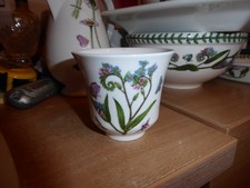 Portmeirion Botanic Garden  round plant pot