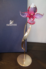 Swarovski Dorora Fuchsia Rain
