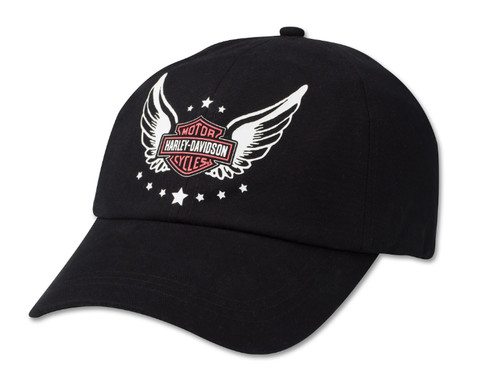 Harley davidson wounded - harley-davidson,