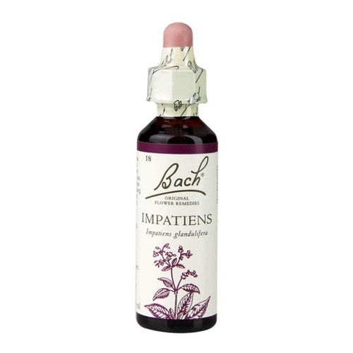 Bach flower remedies - flower, impatiens