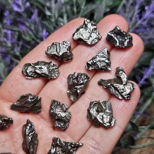 Campo del cielo meteorite - del,