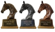 Horse Head Trophy, Show