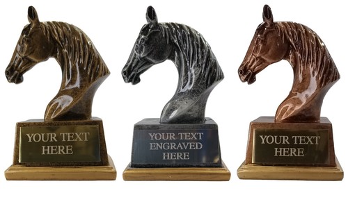 Horse head trophy show - horse, trophy,