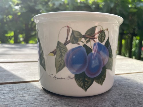 Vintage portmeirion pomona - vintage,